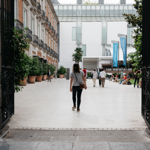 Visita guiada al Museo Nacional Thyssen-Bornemisza