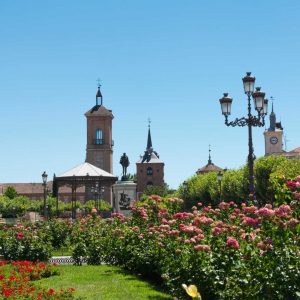 Excursión a Alcalá de Henares