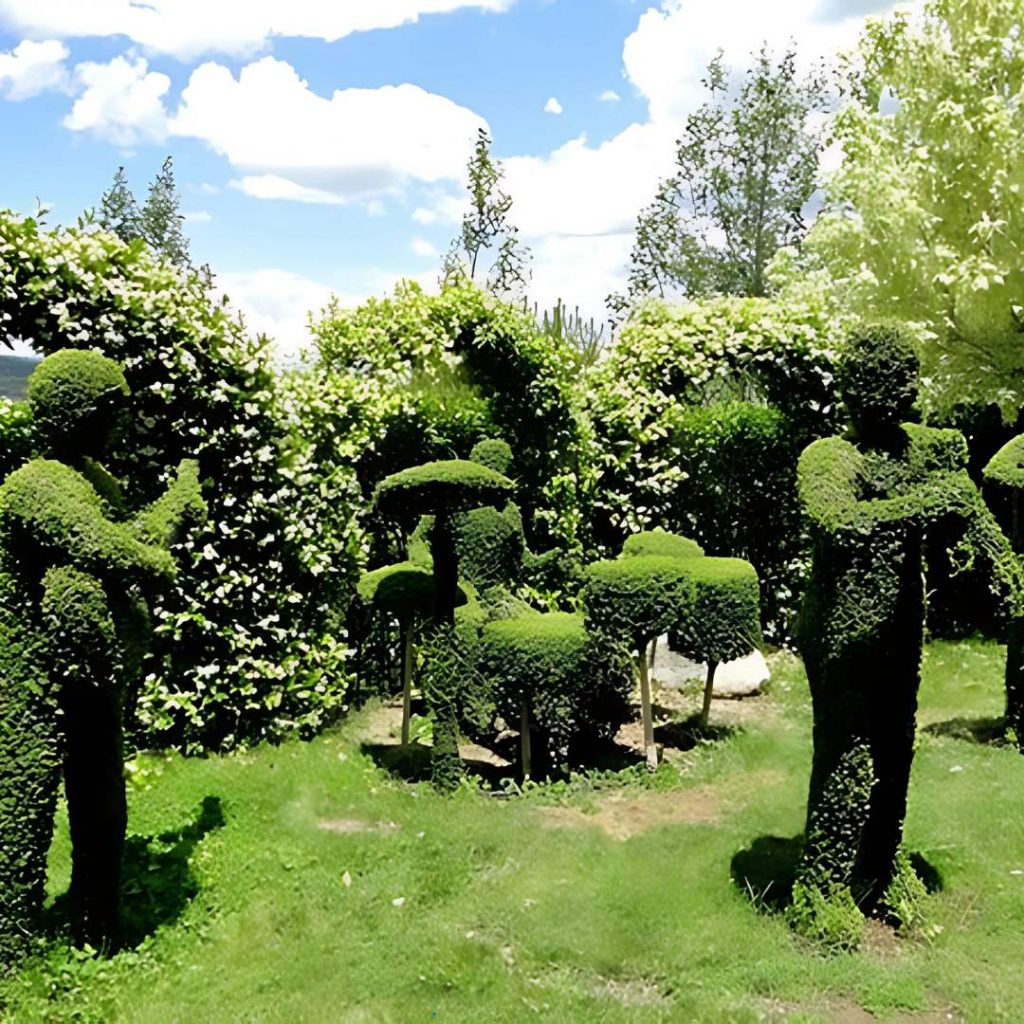 El Bosque Encantado