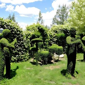 El Bosque Encantado