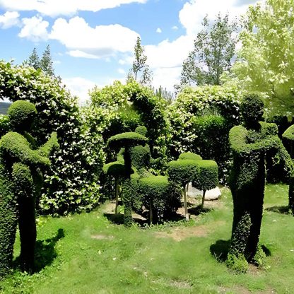 El Bosque Encantado